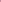 Rockstar Hotpants, Hot Pink